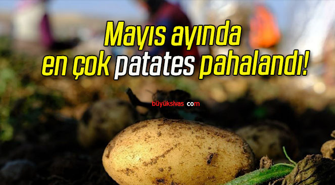 Mayıs ayında en çok patates pahalandı!
