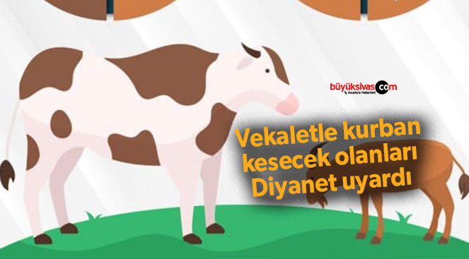 Vekaletle kurban kesecek olanlara Diyanet uyarıda bulundu