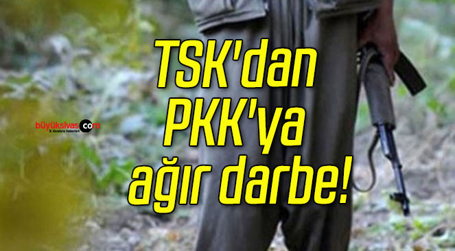 TSK’dan PKK’ya ağır darbe!