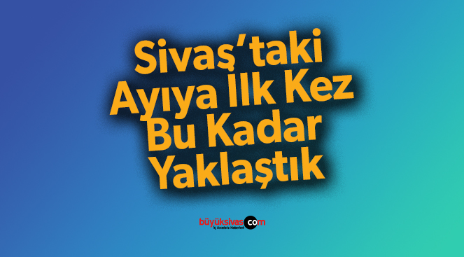 Sivas’taki Ayıya İlk Defa Bu Kadar Yaklaştı!