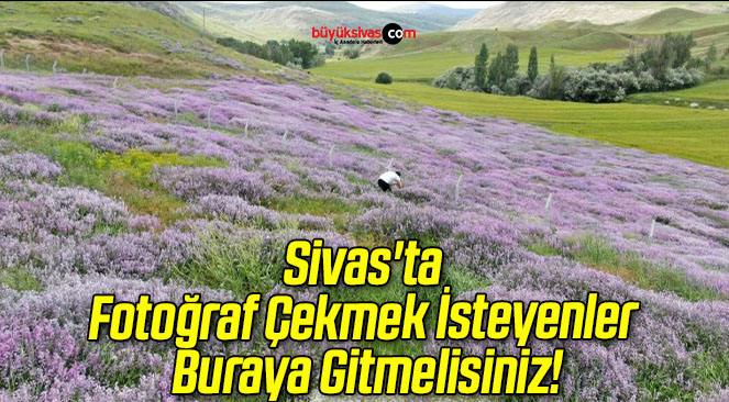 Sivas’ta Fotoğraf Çekmek İsteyenler Buraya Gitmelisiniz!