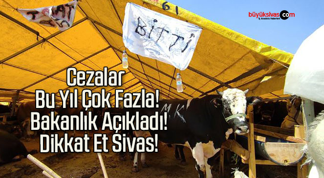 Cezalar Bu Yıl Çok Fazla! Bakanlık Açıkladı! Dikkat Et Sivas!