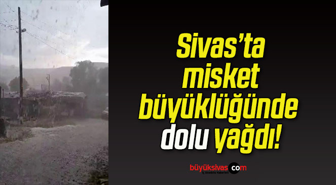 dolu