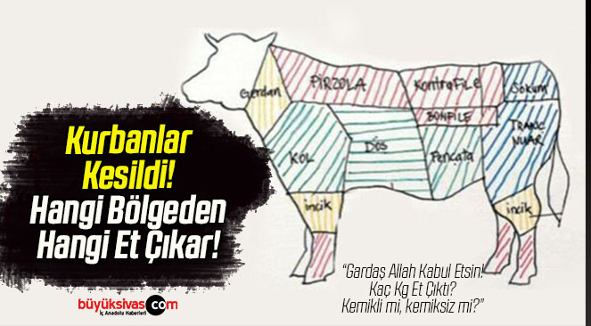 Hayvanın hangi bölgesi ne için kullanılır?