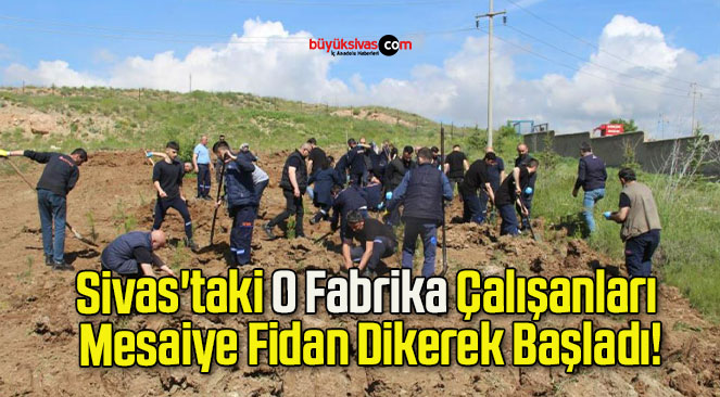 Sivas’taki O Fabrika Çalışanları Mesaiye Fidan Dikerek Başladı!