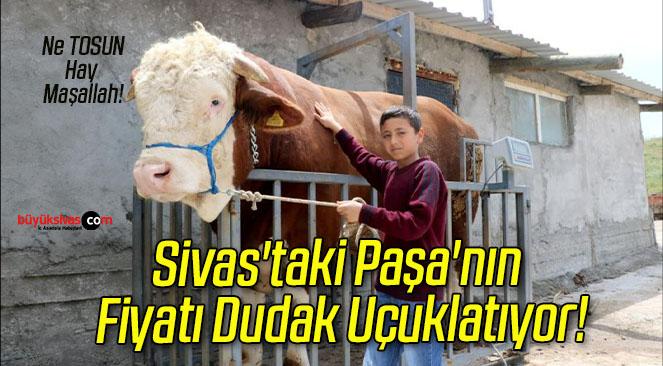 fiyat