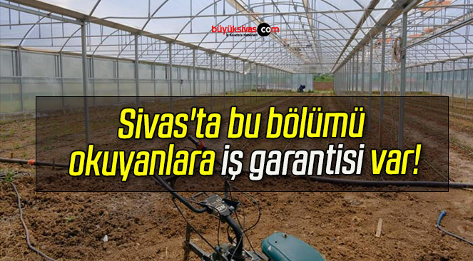Sivas’ta bu bölümü okuyanlara iş garantisi var!