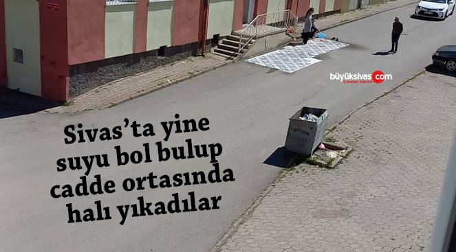 Sivas’ta kuralları hiçe sayanlar cadde ortasında halı yıkıyor