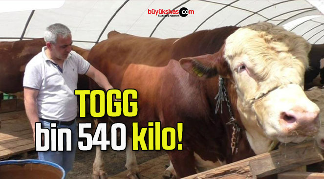 TOGG bin 540 kilo!