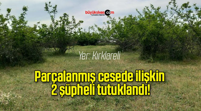 Parçalanmış cesede ilişkin 2 şüpheli tutuklandı!