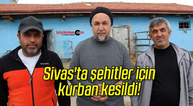 Sivas’ta şehitler için kurban kesildi! 