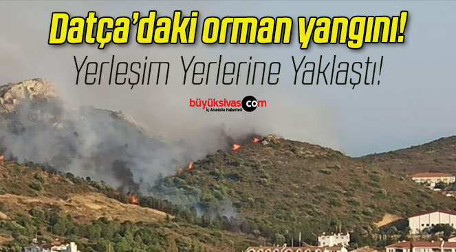 Datça’daki orman yangını!