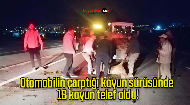 Otomobilin çarptığı koyun sürüsünde 18 koyun telef oldu!