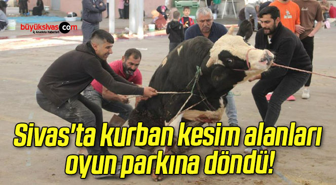 Sivas’ta kurban kesim alanları oyun parkına döndü!