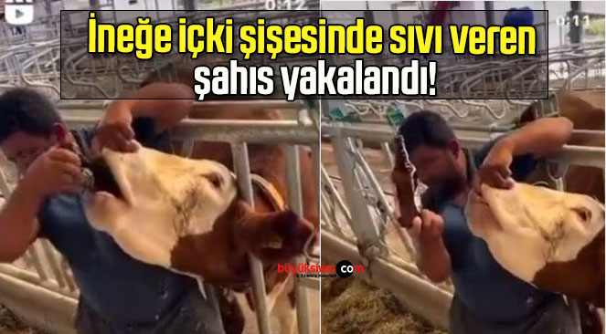 şahıs