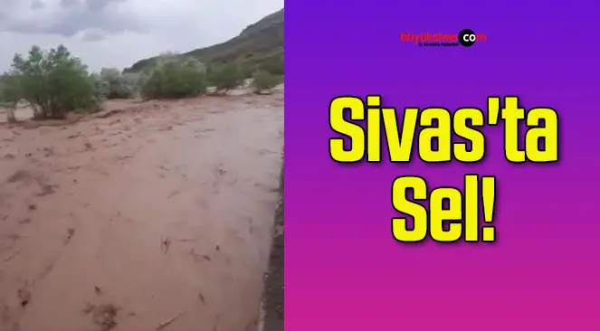 Sivas’ta sağanak sele neden oldu! Ev ve ahırları su bastı!