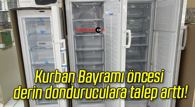 Kurban Bayramı öncesi derin donduruculara talep arttı!