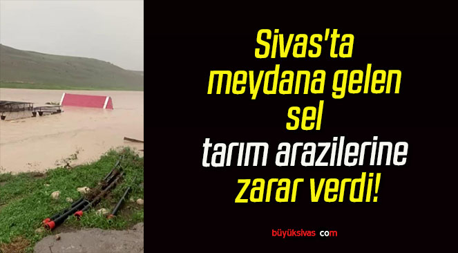 Sivas’ta meydana gelen sel tarım arazilerine zarar verdi!