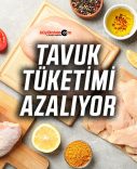 Tavuk eti üretimi yüzde 9.4 azaldı!