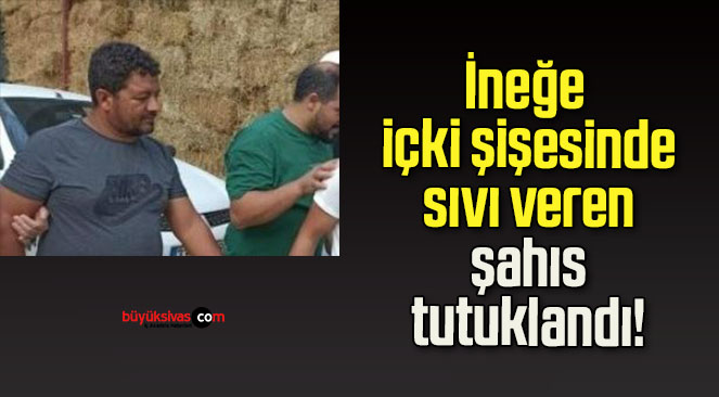 İneğe içki şişesinde sıvı veren şahıs tutuklandı!