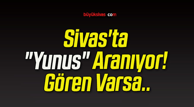 Sivas’ta “Yunus” Aranıyor! Gören Varsa..