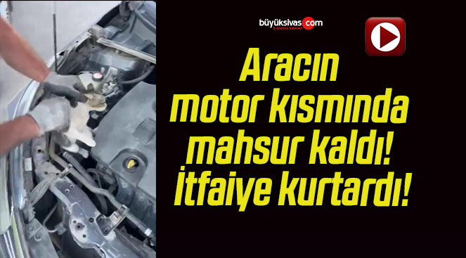 Aracın motor kısmında mahsur kaldı! İtfaiye kurtardı!