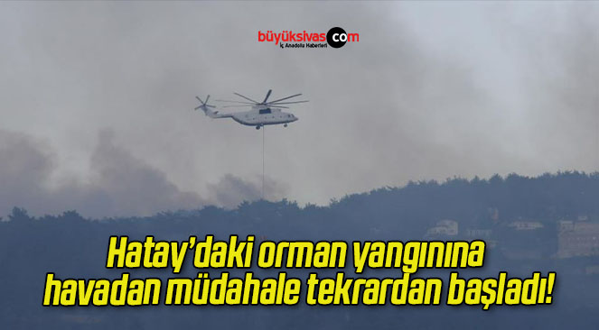 Hatay’daki orman yangınına havadan müdahale tekrardan başladı!