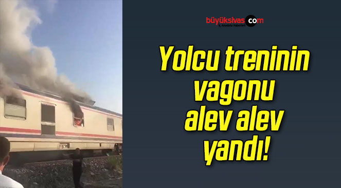 dı