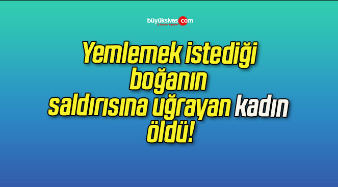 Yemlemek istediği boğanın saldırısına uğrayan kadın öldü!