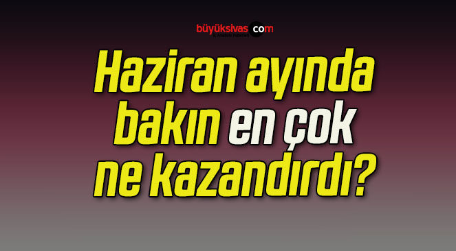 Haziran ayında bakın en çok ne kazandırdı?