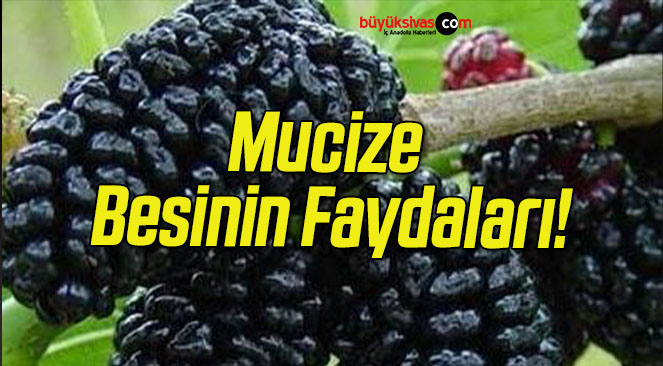 faydaları