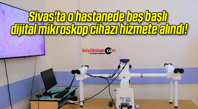 hizmet