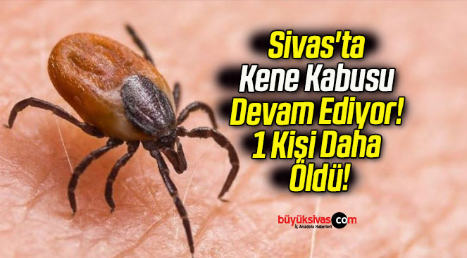Sivas’ta Kene Kabusu Devam Ediyor! 1 Kişi Daha Öldü!
