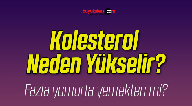 Kolesterol Neden Yükselir?
