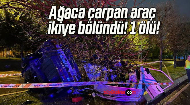 ölü