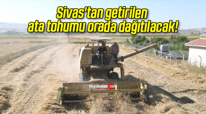 Sivas’tan getirilen ata tohumu orada dağıtılacak!