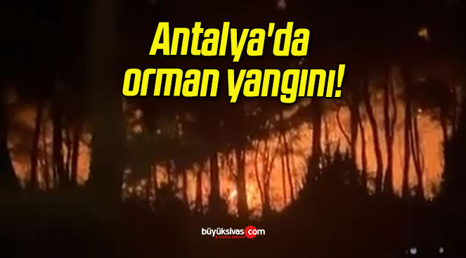 Antalya’da orman yangını!