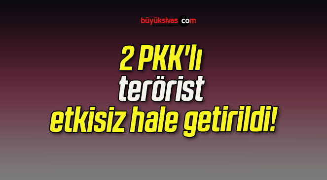 2 PKK’lı terörist etkisiz hale getirildi!