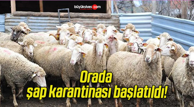 Orada şap karantinası başlatıldı!