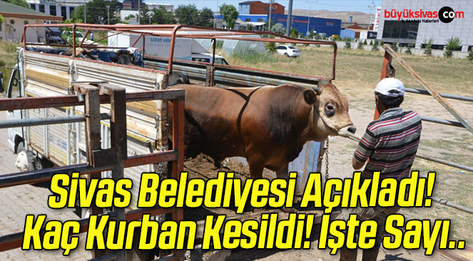 Sivas Belediyesi Açıkladı! Kaç Kurban Kesildi! İşte Sayı..