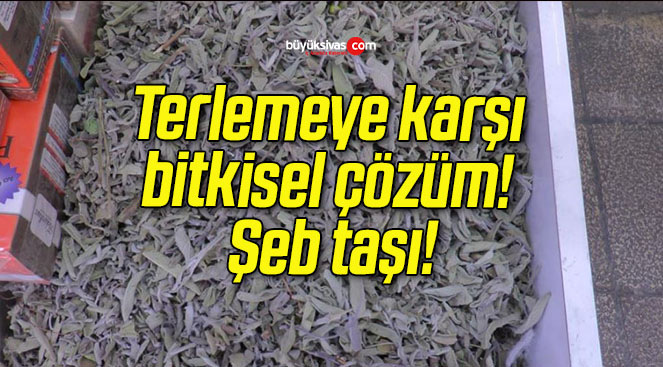 Terlemeye karşı bitkisel çözüm! Şeb taşı!
