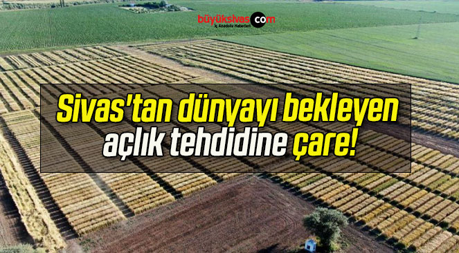Sivas’tan dünyayı bekleyen açlık tehdidine çare!
