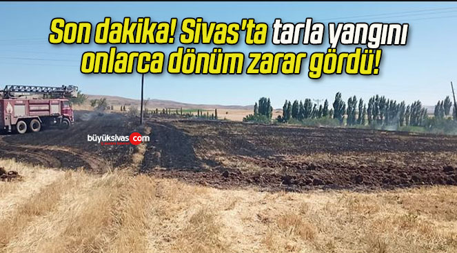 Son dakika! Sivas’ta tarla yangını onlarca dönüm zarar gördü!
