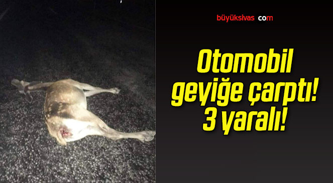 Otomobil geyiğe çarptı! 3 yaralı!