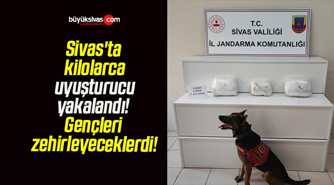 Sivas’ta kilolarca uyuşturucu yakalandı! Gençleri zehirleyeceklerdi!