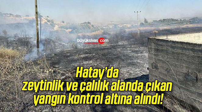 Hatay’da zeytinlik ve çalılık alanda çıkan yangın kontrol altına alındı!