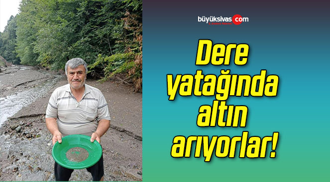 Dere yatağında altın arıyorlar!