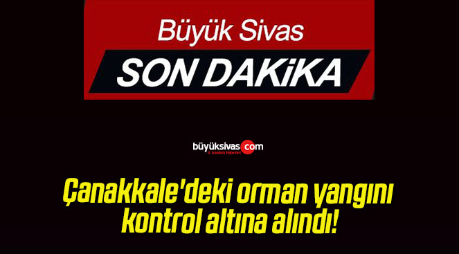 Çanakkale’deki orman yangını kontrol altına alındı!