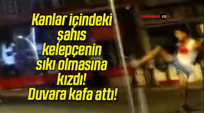 Kanlar içindeki şahıs kelepçenin sıkı olmasına kızdı! Duvara kafa attı!