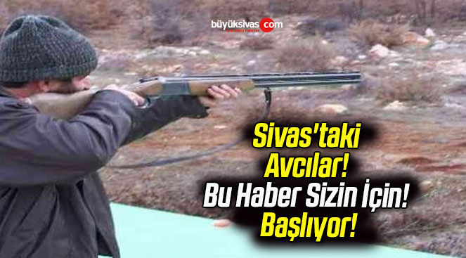 avcı